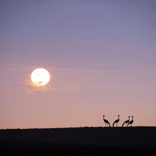 Landscape Photo by South AFrican Photographer Liesel Kershoff