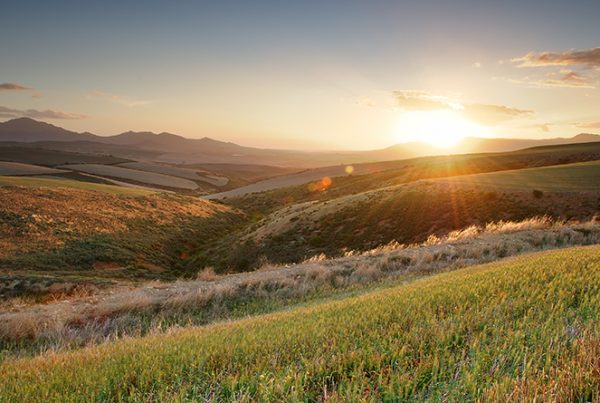 Landscape Photo by South AFrican Photographer Liesel Kershoff